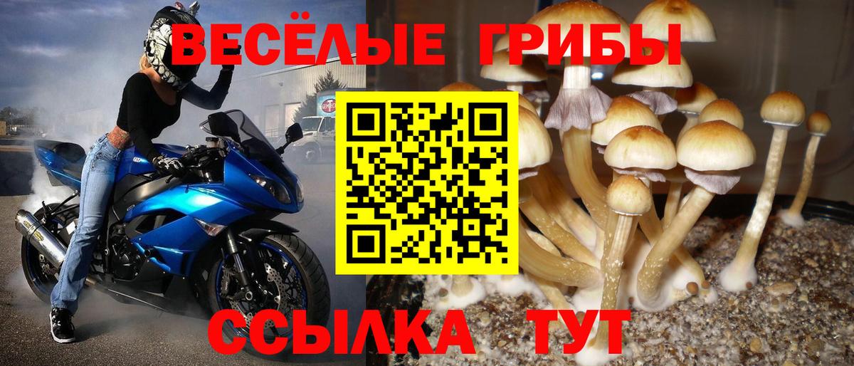 Галлюциногенные грибы мухоморы  Псилоцибиновые грибы мухоморы  Амурск  Вход с VPN 